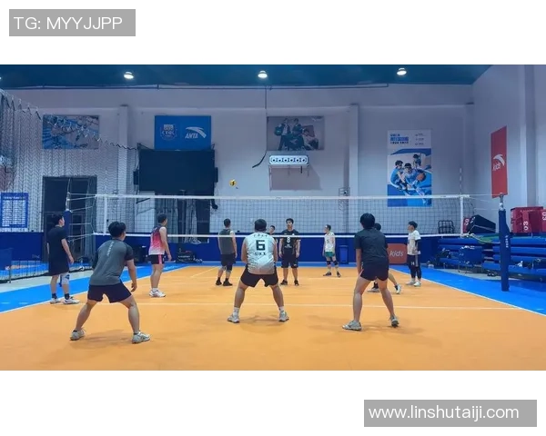 重庆排球队在欧锦赛中的技术表现分析与展望