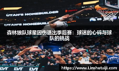 森林狼队球星因伤退出季后赛：球迷的心碎与球队的挑战