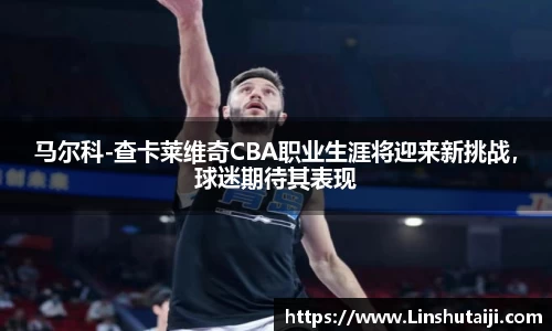 马尔科-查卡莱维奇CBA职业生涯将迎来新挑战，球迷期待其表现