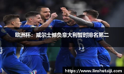 欧洲杯：威尔士憾负意大利暂时排名第二