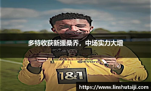 多特收获新援桑乔，中场实力大增