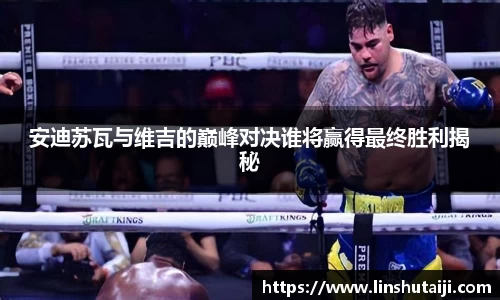 安迪苏瓦与维吉的巅峰对决谁将赢得最终胜利揭秘