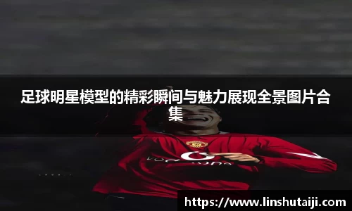 足球明星模型的精彩瞬间与魅力展现全景图片合集