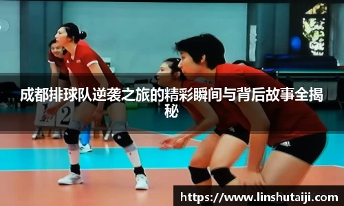 成都排球队逆袭之旅的精彩瞬间与背后故事全揭秘