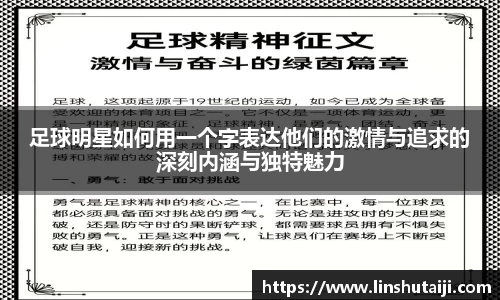 足球明星如何用一个字表达他们的激情与追求的深刻内涵与独特魅力